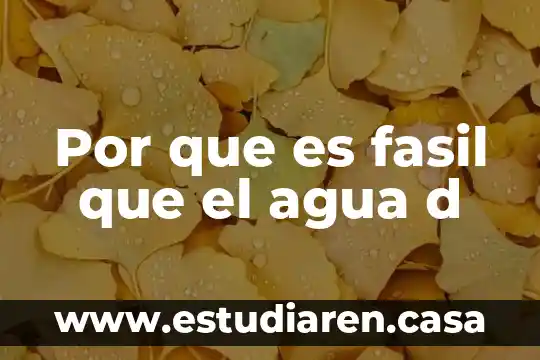 Que es lo saludable d las bebidas alcoholicas 3 Por que es fasil que el agua d