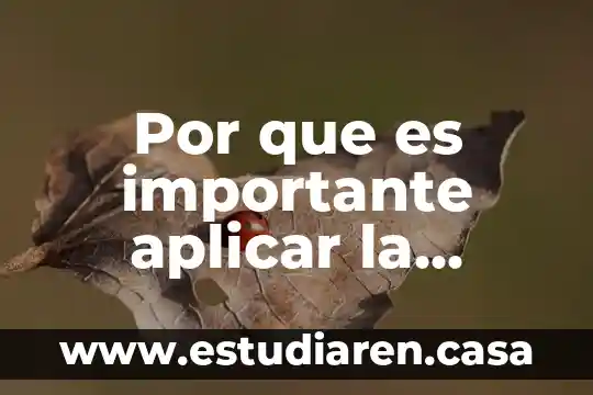 Por que es importante aplicar la ergonomia en el trabajo