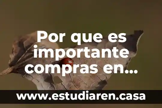 Por que es importante un rfc 3 Por que es importante compras en una organizacion