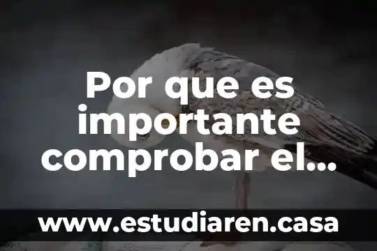 Por que es importante comprobar el patron de sueño