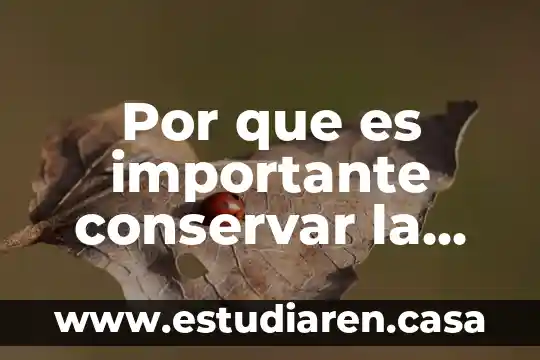Por que es importante conservar la biósfera