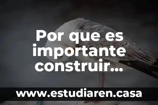 Por que es importante construir puentes y tuneles