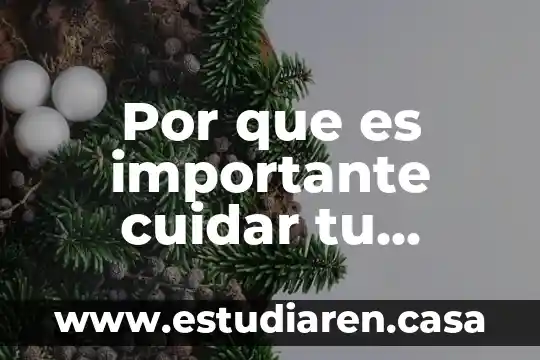 Que es tu niño interior 4 Por que es importante cuidar tu sistema circulatorio
