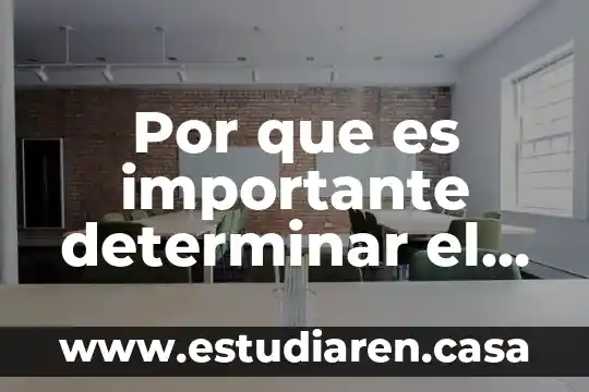 Que es determinar y un ejemplo 8 Por que es importante determinar el reactivo en exceso