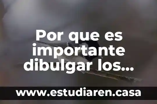 Que es una capacidad en los humanos 8 Por que es importante dibulgar los derechos humanos