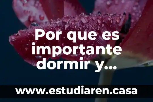 Por que es importante dormir y descansar