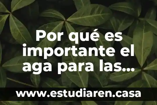 Por que es importante la capacitación en el area especial 6 Por qué es importante el aga para las personas