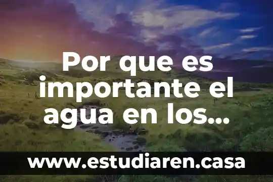 Por que es importante el agua en los ecosistemas