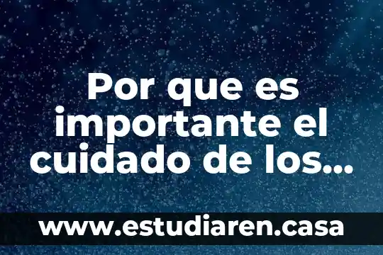 Por que es importante el cuidado de los aeboles