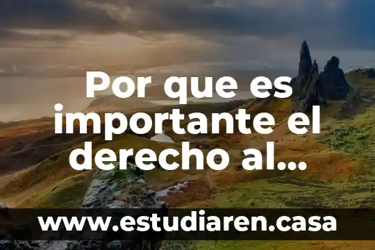 Por que es importante el derecho al trabajo