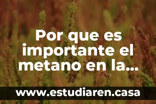 Por que es importante el metano en la tierra