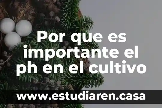 Por que es importante el ph en el cultivo