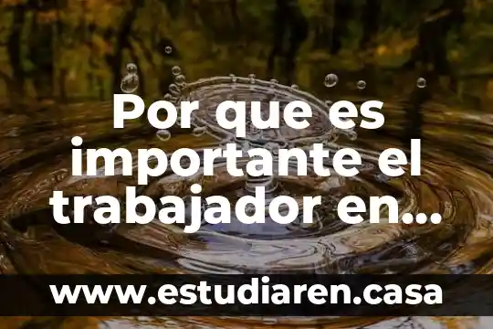 En las afores que es un trabajador asignado 7 Por que es importante el trabajador en una empresa
