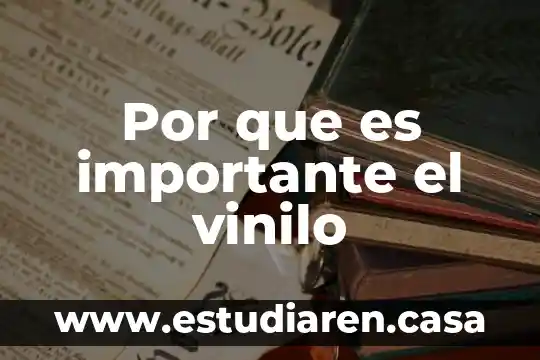 Por que es importante el vinilo
