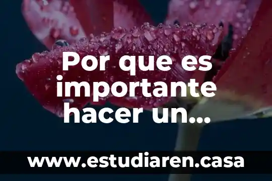Que es saber ser y saber hacer 4 Por que es importante hacer un huerto urbano