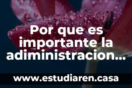 Por que es importante la adiministracion del cpaital del trabajo