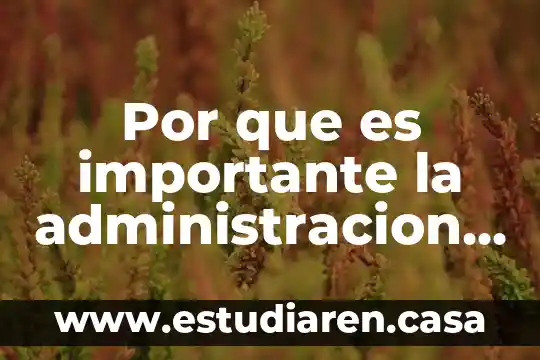 Por que es importante la administracion de operaciones