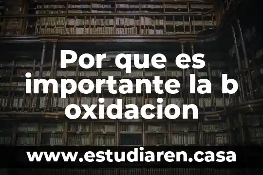 Por que es importante la b oxidacion