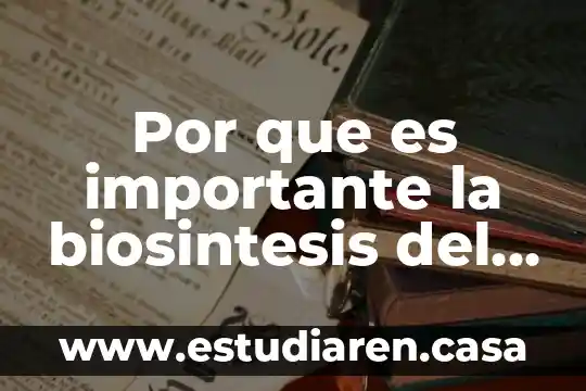 Por que es importante la biosintesis del glucogeno