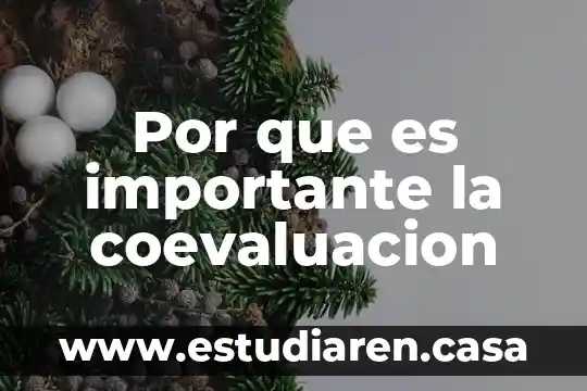 Que es hostear una pagina web 4 Por que es importante la coevaluacion