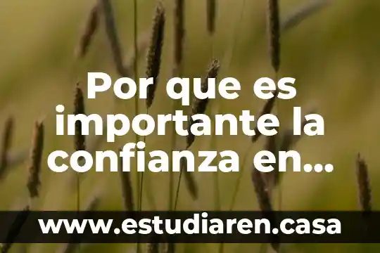 Por que es importante la confianza en un adolescente