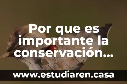 Por que es importante la conservación de alimentos
