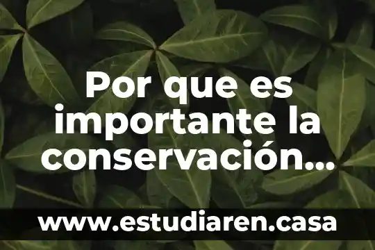 Por que es importante la conservación de las tortugas