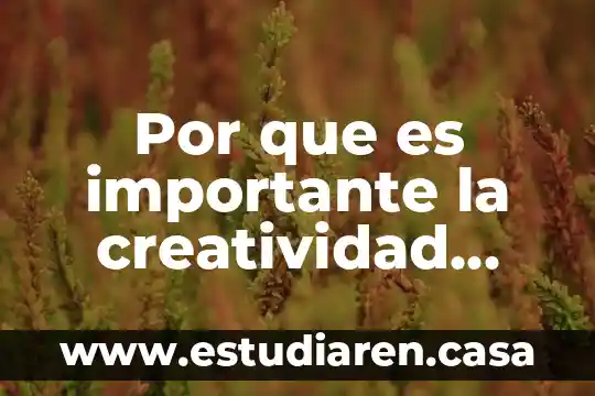 Por que es importante darle mantenimiento a una laptop 4 Por que es importante la creatividad ideologica