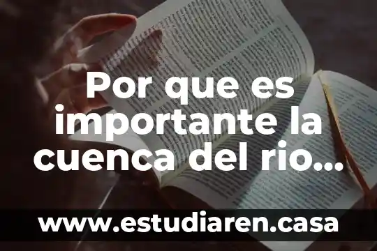 Por que es importante la cuenca del rio balsas