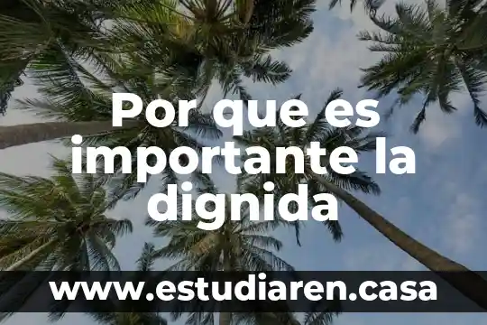 Por que es importante la dignida