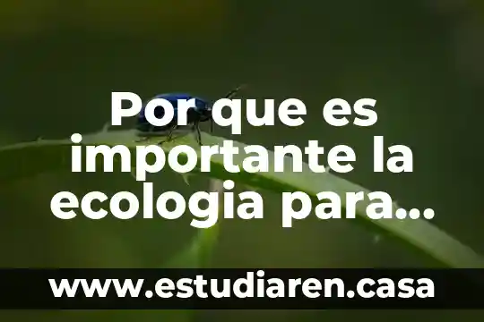 ¿Qué es el árbol de la vida en ecología? 8 Por que es importante la ecologia para hacer una empresa