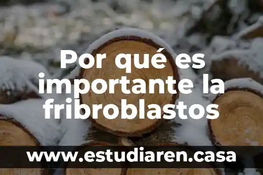 Por qué es importante la fribroblastos