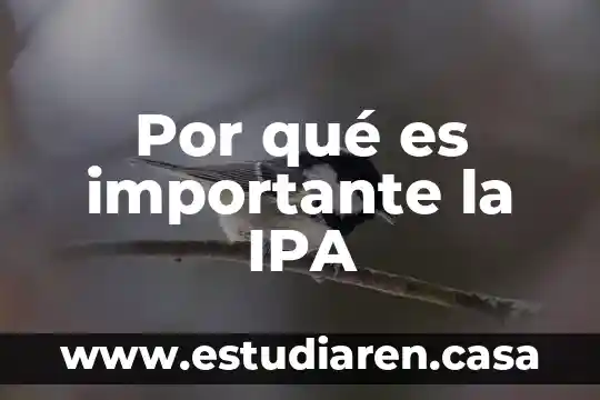 Por que es importante la ventilacion en una construccion 8 Por qué es importante la IPA