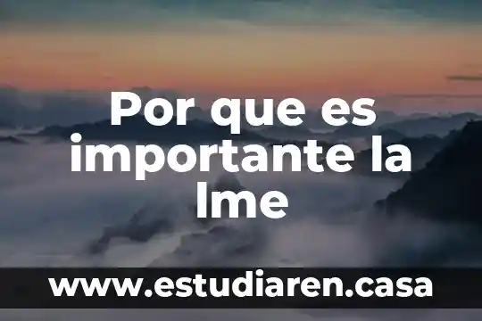 Por que es importante darle mantenimiento a una laptop 5 Por que es importante la lme