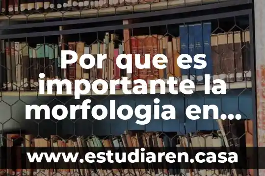 Por que es importante los viajes de escuela 8 Por que es importante la morfologia en biologia