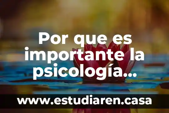Por que es importante la psicología infantil