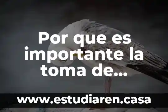 Por que es importante los viajes de escuela 5 Por que es importante la toma de decisiones informada