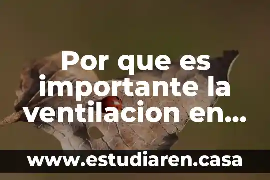 Por que es importante monitorisar los signos de deshidratacion 8 Por que es importante la ventilacion en una construccion