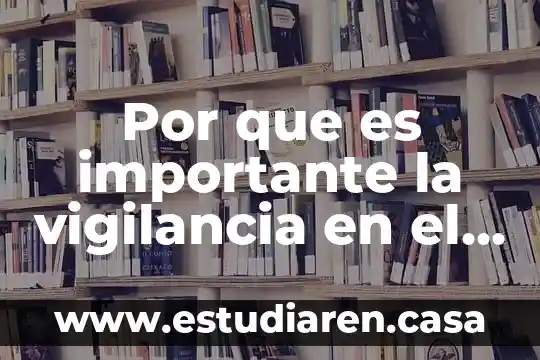 Por que es importante la vigilancia en el embarazo