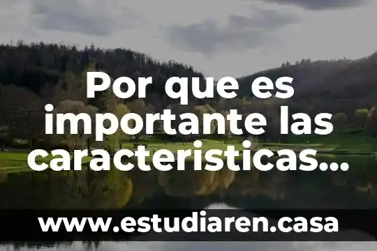 Por que es importante las caracteristicas fisicas en el agua