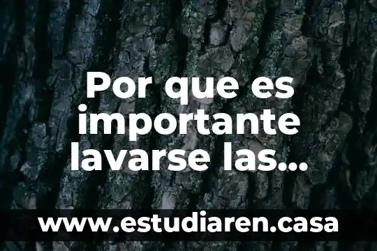 Que es bueno comer antes de dormir 3 Por que es importante lavarse las manos antes de comer