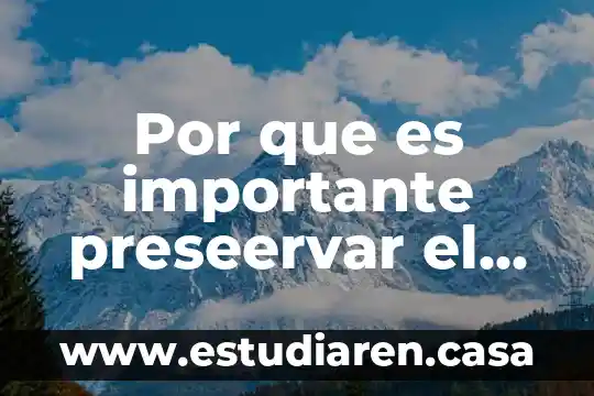 Por que es importante la ventilacion en una construccion 3 Por que es importante preseervar el arte