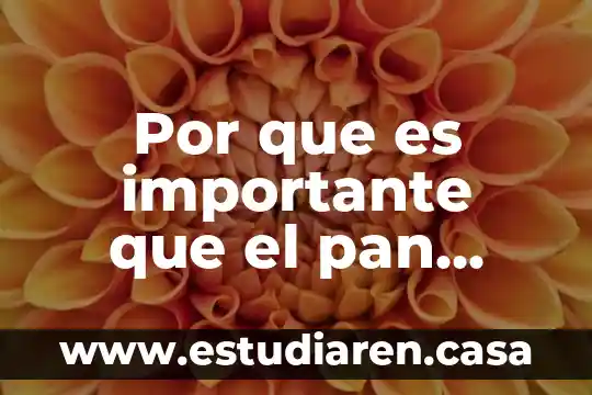 Por que es importante que el pan tenga leche