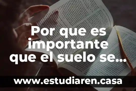 Qué es más rápido USB o SATA 8 Por que es importante que el suelo se seque rapido