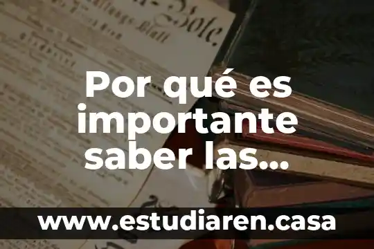 Por qué es importante saber las relaciones sintácticas y paradigmáticas