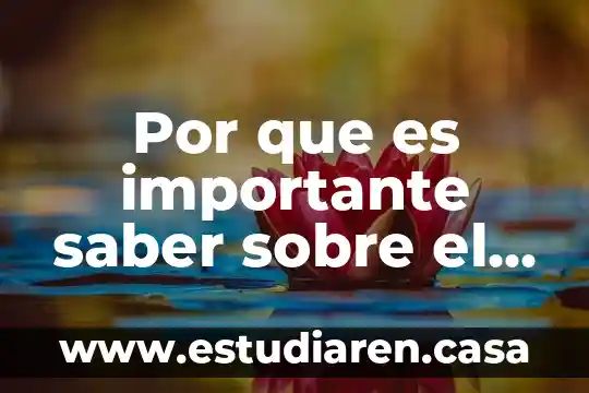 Por que es importante saber sobre el neoconstitucionalismo