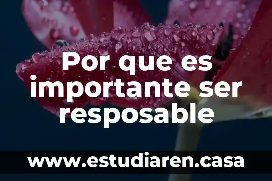 Por que es importante los viajes de escuela 4 Por que es importante ser resposable