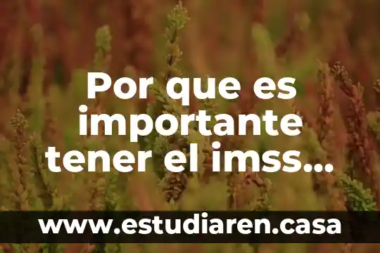 Que es respuesta de recuperacion segun imss 5 Por que es importante tener el imss en actopan