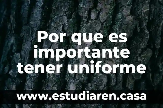 Que es el movimiento rectilíneo uniforme acelerado 7 Por que es importante tener uniforme