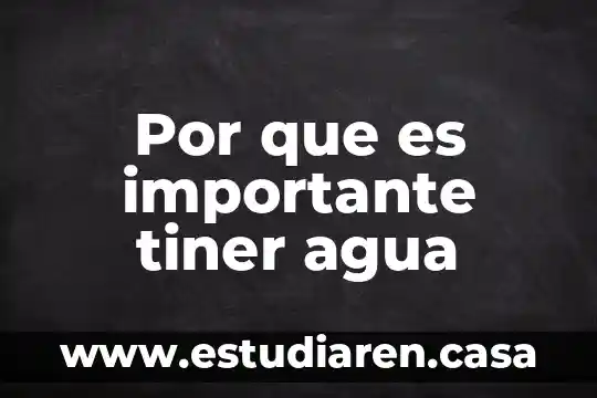 Por que es importante tiner agua
